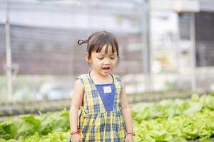 süß wenig Kindergarten Kind wachsend frisch Salat im Frühling ein wenig Junge ist glücklich mit Gartenarbeit. Kinder Hilfe mit Gemüse Gartenarbeit im das Haus. foto