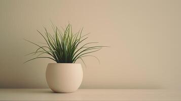 ai generiert ein Weiß Haus Pflanze Topf Sitzung auf ein hölzern Tabelle foto
