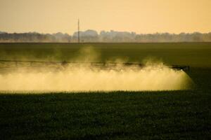 Jets von Flüssigkeit Dünger von das Traktor Spritzgerät. foto