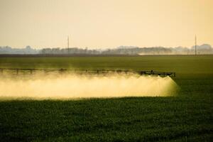 Jets von Flüssigkeit Dünger von das Traktor Spritzgerät. foto