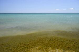 Küsten Meer Wellen. Meerwasser mit Seetang. Küsten Algen. Meer Strand. foto