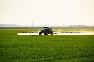 Traktor mit das Hilfe von ein Sprühgerät Sprays Flüssigkeit Düngemittel auf jung Weizen im das Feld. foto