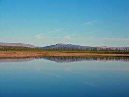 Fluss Landschaft. Nord Rentier im Sommer- Wald. das Himmel, GR foto