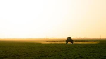 Traktor auf das Sonnenuntergang Hintergrund. Traktor mit hoch Räder ist Herstellung Dünger auf jung Weizen. foto