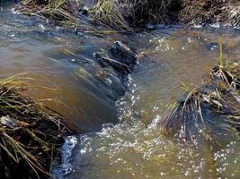Streams von Wasser im ein klein Fluss. das fließen von Wasser. foto