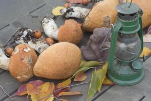 frisch Steinpilz sind verstreut auf das Tisch, der Herbst Ernte von Wald Pilze foto