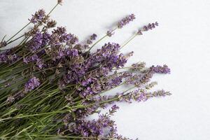 Strauß von Lavendel Blumen auf ein Pastell- grau Hintergrund, eben legen, oben Ansicht, trocken foto