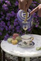 draussen Picknick mit ein Tasse von Kräuter- Tee und Makrone Kuchen, ein Frau Hand gießt foto