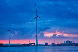 Wind Turbinen im Antwerpen Hafen im das Abend foto