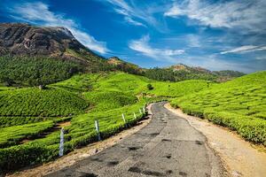 Straße im Tee Plantagen, Indien foto