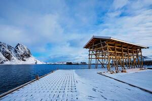 Trocknen Flocken zum Stockfisch Kabeljau Fisch im Winter. Lofoten Inseln, Norwegen foto