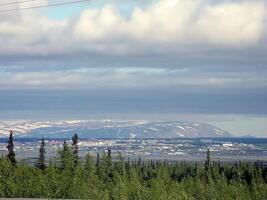 Wald Tundra Landschaft im das Sommer. Taiga von Sibirien. Jamal. foto