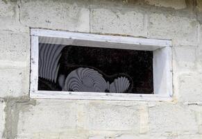 ein Fenster gemacht von Plexiglas im ein Beton Mauer foto