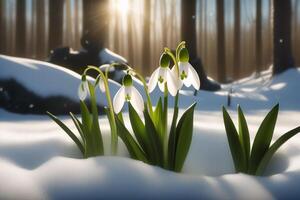 ai generiert zart Frühling Blumen, Schneeglöckchen, sind Vorboten von Erwärmen und symbolisieren das Ankunft von Frühling. szenisch Aussicht von ein Frühling Wald mit Blühen Blumen foto