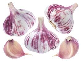 rot Knoblauch isoliert auf Weiß Hintergrund foto