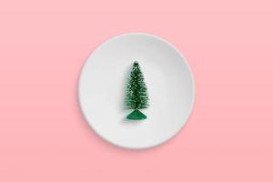 kleiner Weihnachtsbaum in einem Teller. minimales Weihnachtsfeierkonzept