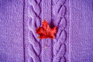 kleines leuchtend rotes trockenes Herbstahornblatt auf lila gestricktem Stoff oder Pullover mit Zöpfen