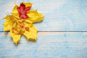 herbst herbst goldene blätter flach legen foto