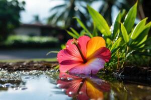 ai generiert Regenbogen Blumen auf nass Boden nach Regen. ai generiert foto