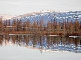 Fluss Landschaft früh Frühling. nackt Bäume, schmelzen Schnee. foto