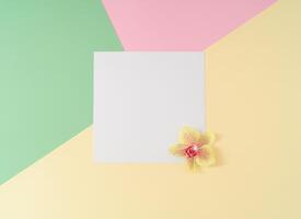 kreativ Komposition gemacht mit natürlich Orchidee Blume und Weiß Papier Karte Hinweis auf abstrakt geometrisch Hintergrund. Pastell- Grün, Rosa und Sahne Trend Farben. minimal Konzept und Einfachheit. eben legen. foto