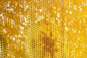 Tropfen Bienenhonig tropfen aus sechseckigen Waben, die mit goldenem Nektar gefüllt sind foto