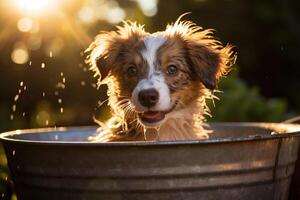 ai generiert ein komisch Hündchen im ein alt rustikal Becken im spritzt von Wasser und Strahlen von Sonne. generiert durch künstlich Intelligenz foto