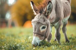 ai generiert Esel genießt ein gemächlich Mahlzeit, Weiden lassen auf frisch Grün Gras foto