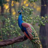 ai generiert ein majestätisch Pfau posiert elegant auf ein Baum Ast zum Sozial Medien Post Größe foto