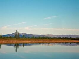 Fluss Landschaft. Nord Rentier im Sommer- Wald. das Himmel, GR foto