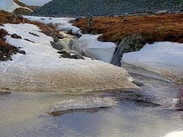 schmelzen Schnee im das Frühling. das Frühling Hitze werden Schmelze das Schnee. foto