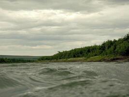 Fluss Landschaft. Nord Rentier im Sommer- Wald. das Himmel, GR foto