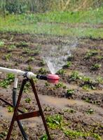 Wasser Sprinkler zum Bewässerung im das Garten. Bewässerung im das Garten foto