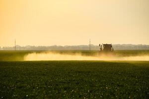 Traktor mit das Hilfe von ein Sprühgerät Sprays Flüssigkeit Düngemittel auf jung Weizen im das Feld. foto