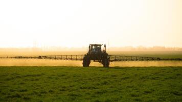 Traktor auf das Sonnenuntergang Hintergrund. Traktor mit hoch Räder ist Herstellung Dünger auf jung Weizen. foto