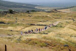 Tour Gruppen auf das Ruinen von Hierapolis. Touristen sind gezeigt das Ruinen von das uralt Stadt. foto