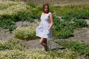 ein Frau im ein Weiß Kleid mit Polka Punkte ist auf ein Lichtung mit Gänseblümchen. Blühen Gänseblümchen foto