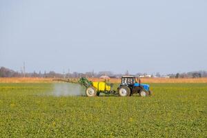 Traktor düngt ein Raps Feld, Sprühen Dünger mit ein Traktor. foto