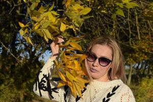 Mädchen im Sonnenbrille. Mädchen auf ein Hintergrund von Gelb Blätter von Herbst Bäume. Herbst Foto Sitzung.