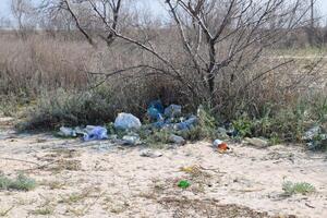Müll unter das Gebüsch im Natur. Müll links durch Touristen foto