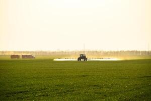 Traktor mit das Hilfe von ein Sprühgerät Sprays Flüssigkeit Düngemittel auf jung Weizen im das Feld. foto