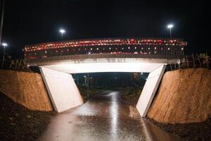 beleuchtet Fußgänger Brücke im Lettland feiern Unabhängigkeit Tag foto