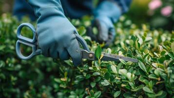 ai generiert ein jung gut aussehend Gärtner trimmt ein Buchsbaum Busch mit groß Garten Schere foto