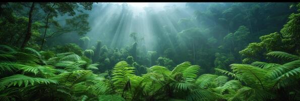 ai generiert schön Foto von ein tropisch Wald zum ein Hintergrund