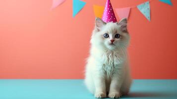 ai generiert Weiß flauschige Katze sitzt im ein Geburtstag Deckel suchen beim das Kamera auf ein minimalistisch hell Hintergrund foto