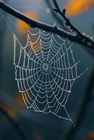 ai generiert ein Nahansicht von ein taubedeckt Spinnennetz, präsentieren der Natur kompliziert Kunst foto