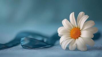 ai generiert ein Single Gänseblümchen mit ein Blau Band, ein subtil nicken zu Arbeit Tage Farben foto