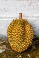 lokal indonesisch Durian ist köstlich und enthält verschiedene Vitamine und Mineralien, Bereitstellung ein herrlich Geschmack Erfahrung. foto