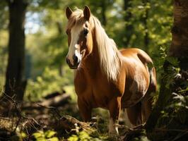 Porträt von ein Pferd im das Wald. foto