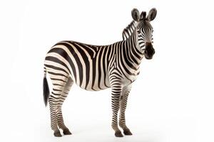 ai generiert Zebra isoliert auf Weiß Hintergrund foto